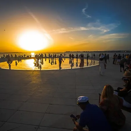 Summer Dream * Zadar